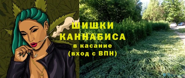 гашик Аркадак