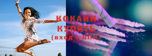 соль ск Арсеньев