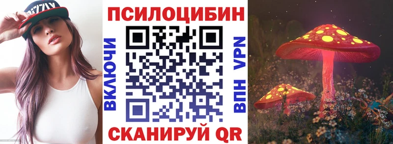 купить наркотик  Майкоп  Псилоцибиновые грибы ЛСД 