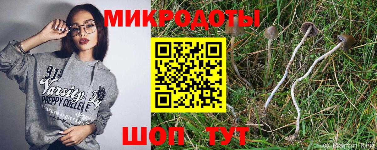 Псилоцибиновые грибы прущие грибы  наркота  Майкоп  Вход с VPN  Галлюциногенные грибы Psilocybine cubensis 